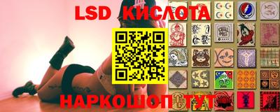 гидропоника Жуковский