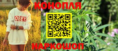 спайс Заволжье