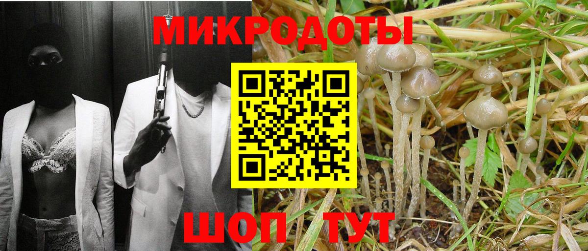 Галлюциногенные грибы MAGIC MUSHROOMS  Вход с VPN  Кушва 